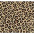 Leopard Single Ream Designer Tissue Paper
